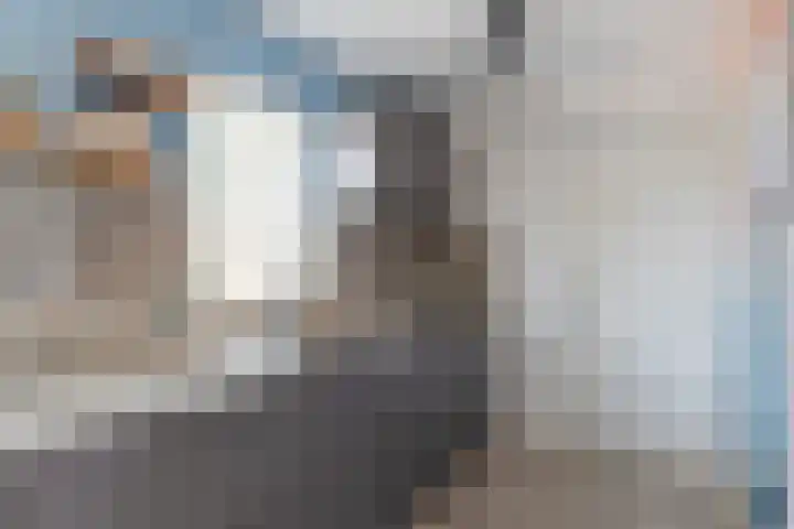 Sluuslaan 35 Middelharnis thumbnail 4