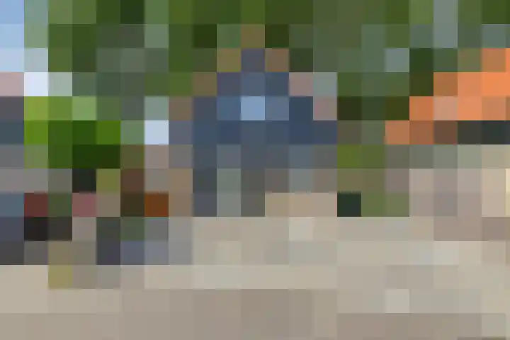 Sluuslaan 35 Middelharnis thumbnail 41