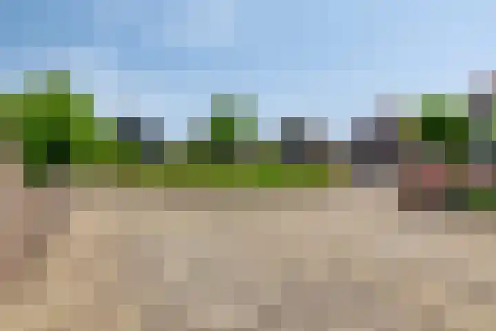 Sluuslaan 35 Middelharnis thumbnail 42