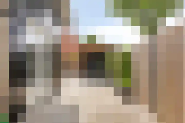 Sluuslaan 35 Middelharnis thumbnail 6