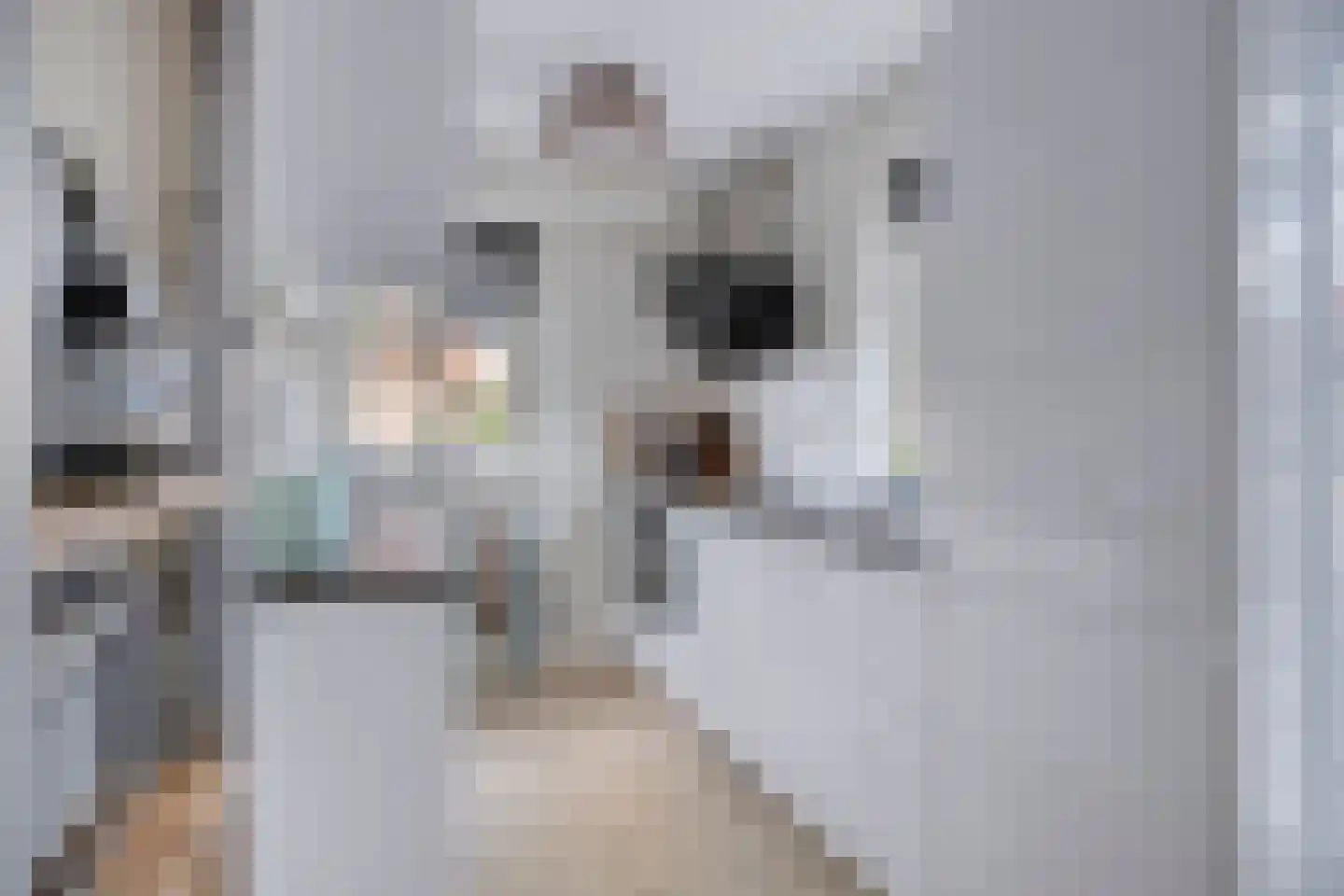 Sluuslaan 39 Middelharnis thumbnail 19
