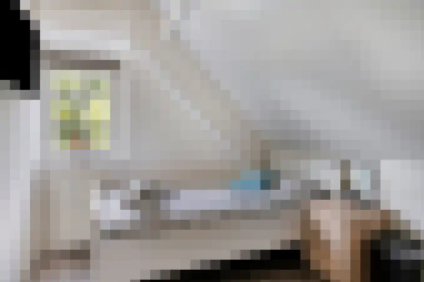 Sluuslaan 39 Middelharnis thumbnail 22