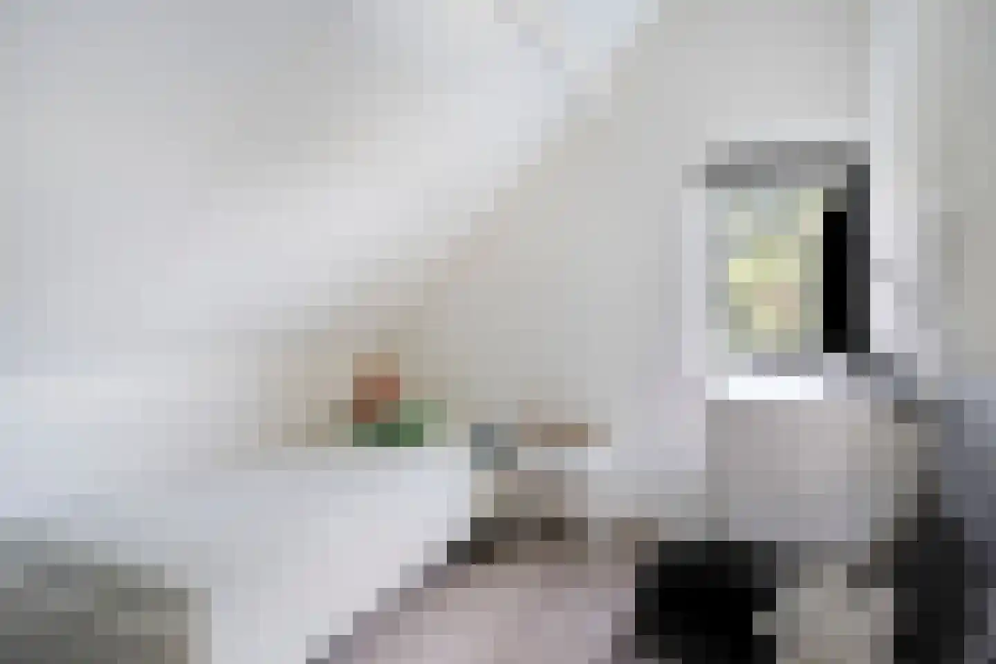 Sluuslaan 39 Middelharnis thumbnail 24