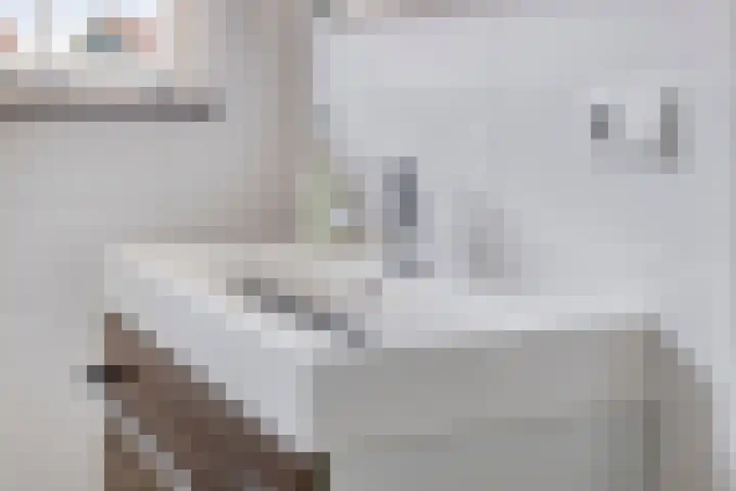 Sluuslaan 39 Middelharnis thumbnail 27