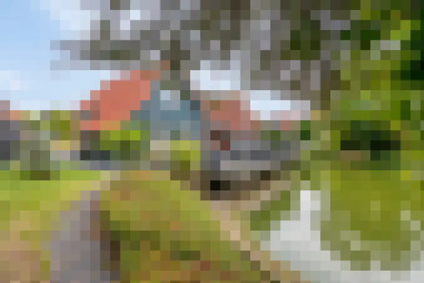 Sluuslaan 39 Middelharnis thumbnail 38