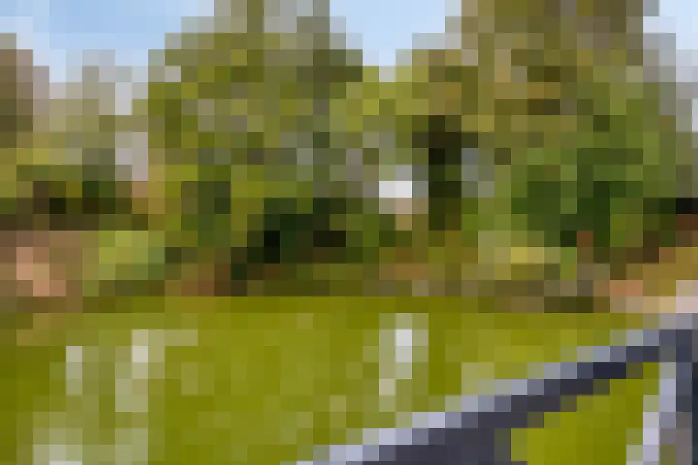 Sluuslaan 39 Middelharnis thumbnail 39