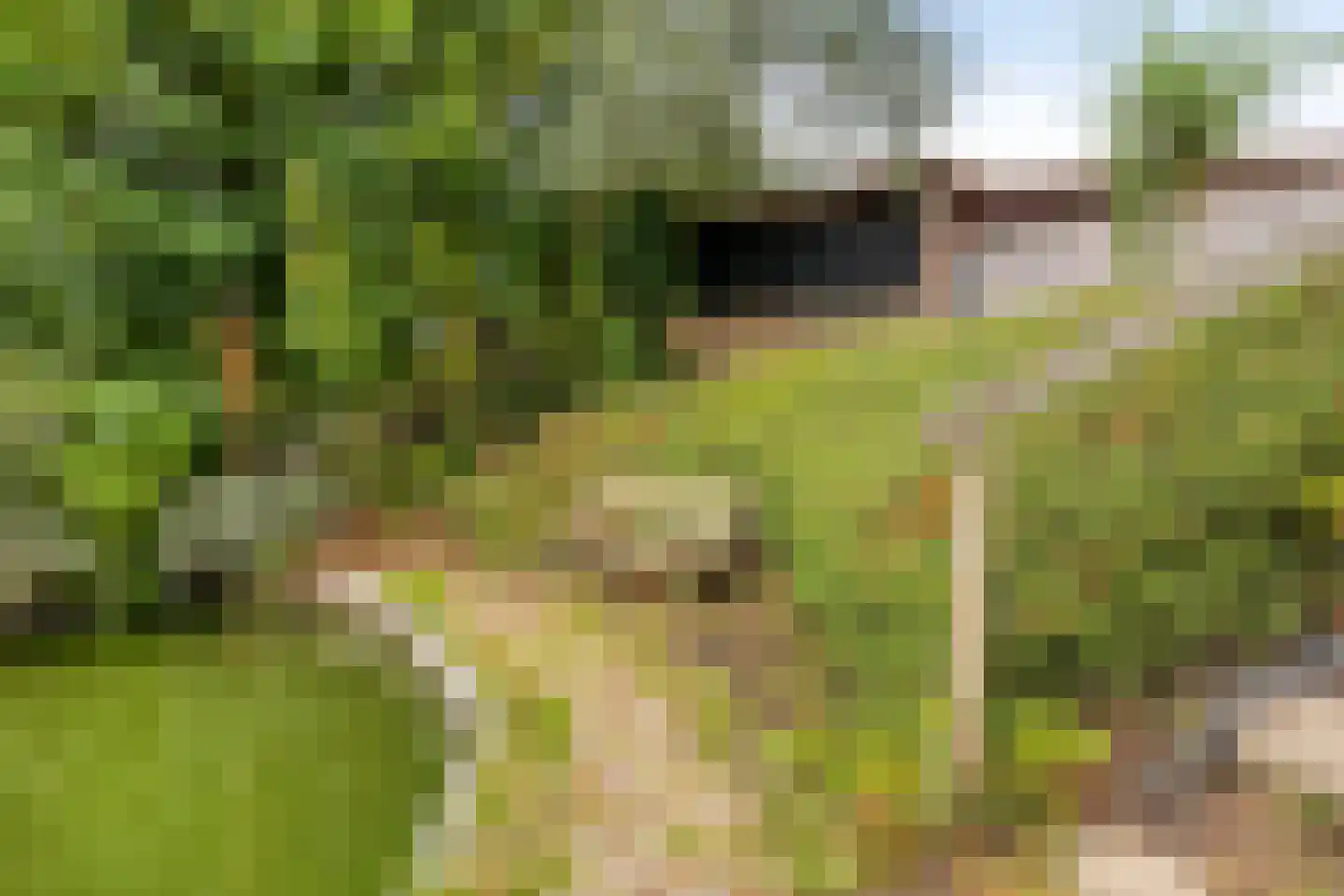 Sluuslaan 39 Middelharnis thumbnail 40