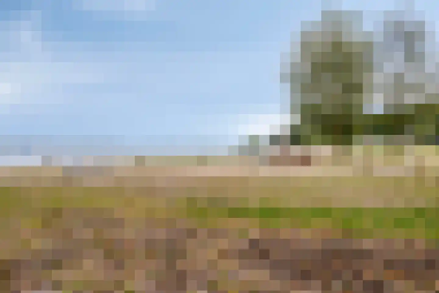 Sluuslaan 39 Middelharnis thumbnail 45