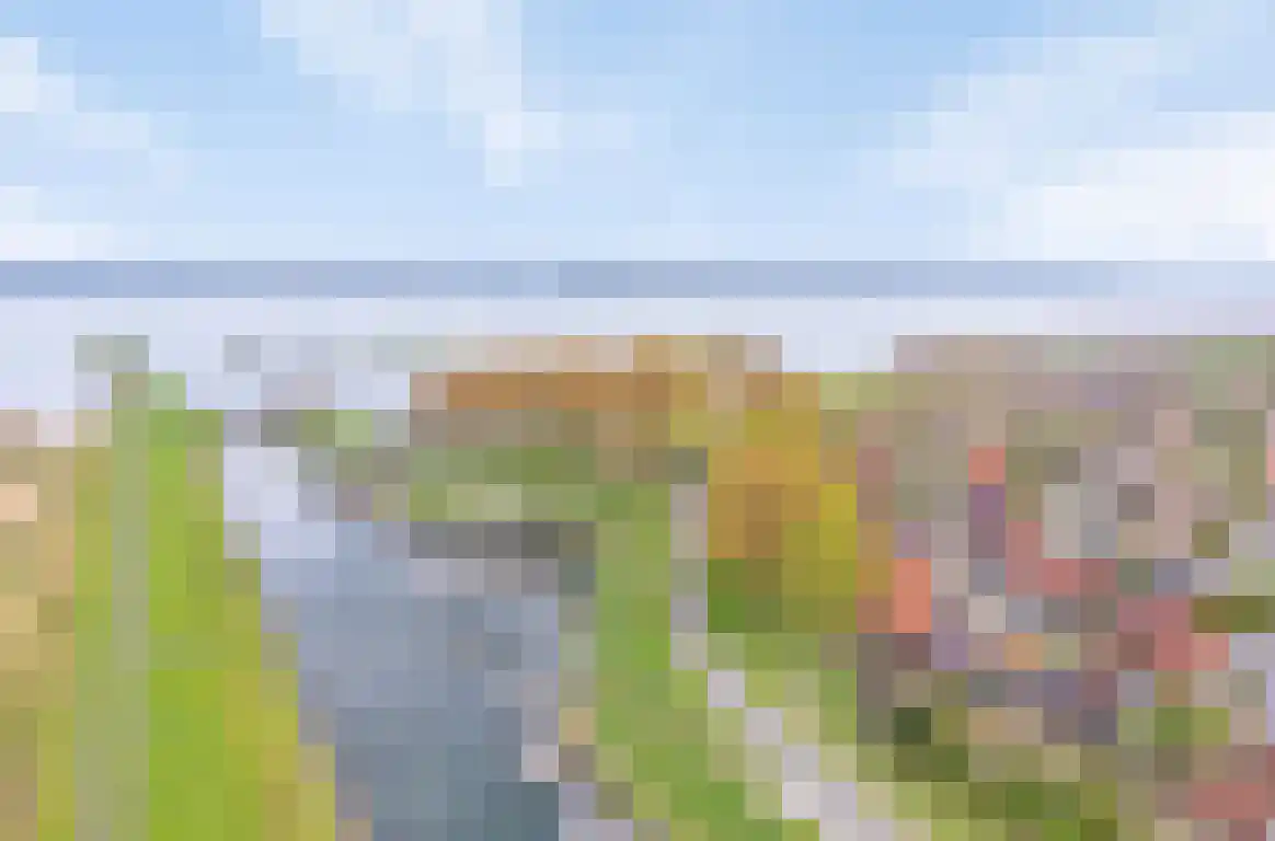 Sluuslaan 39 Middelharnis thumbnail 48