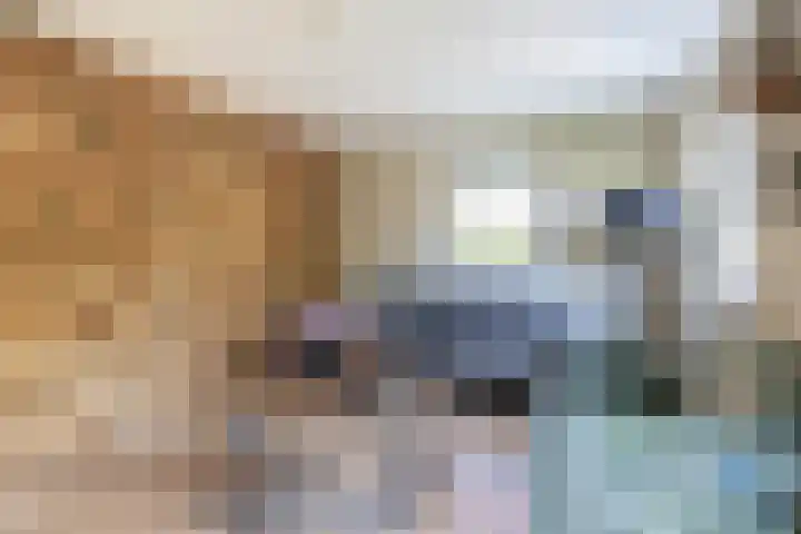Sluuslaan 6 Middelharnis thumbnail 10