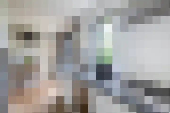 Sluuslaan 6 Middelharnis thumbnail 16