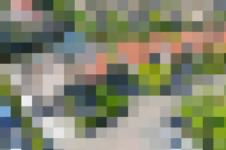 Sluuslaan 6 Middelharnis thumbnail 31