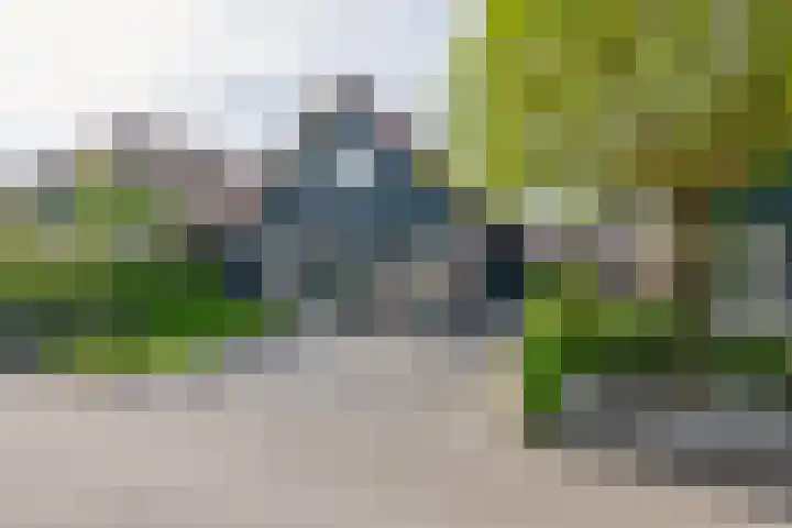 Sluuslaan 6 Middelharnis thumbnail 5