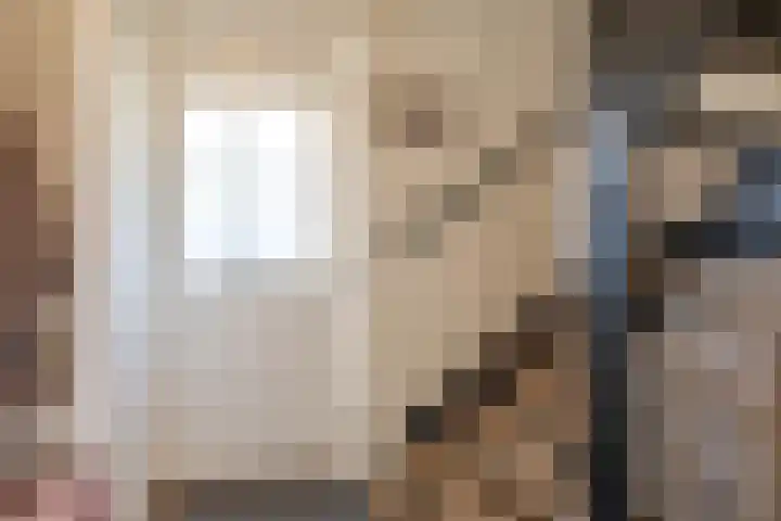 Sluuslaan 6 Middelharnis thumbnail 7