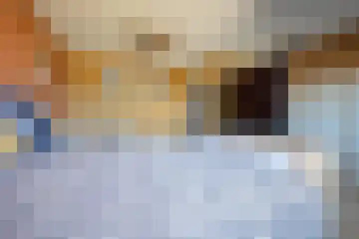 Sluyscoog 22 Den Burg thumbnail 18