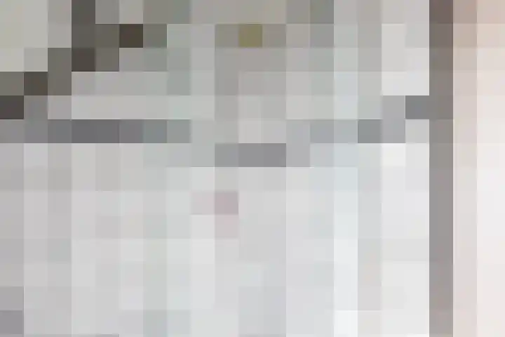 Sluyscoog 22 Den Burg thumbnail 21