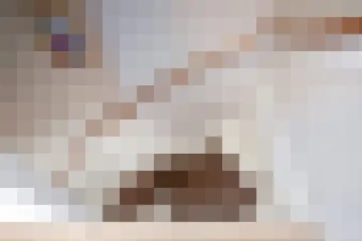 Sluyscoog 22 Den Burg thumbnail 23