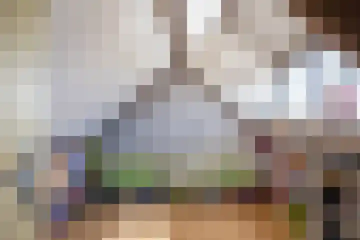 Sluyscoog 22 Den Burg thumbnail 25