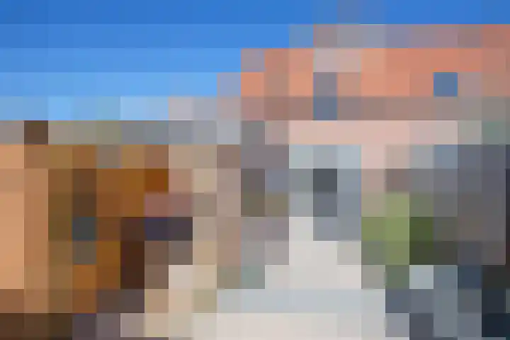 Sluyscoog 22 Den Burg thumbnail 26