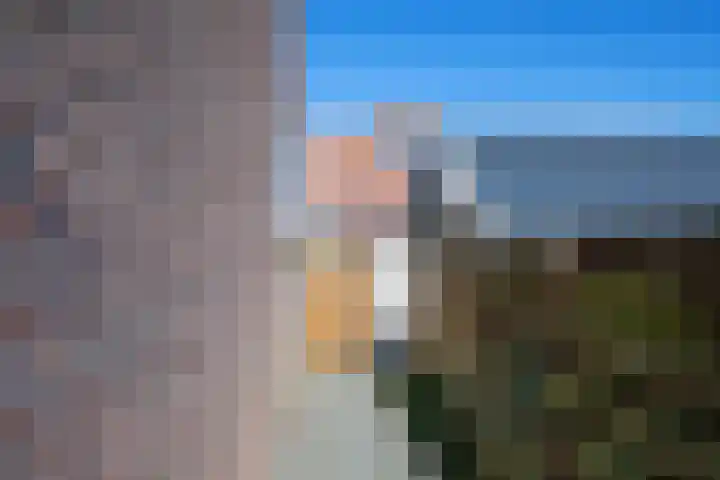 Sluyscoog 22 Den Burg thumbnail 30