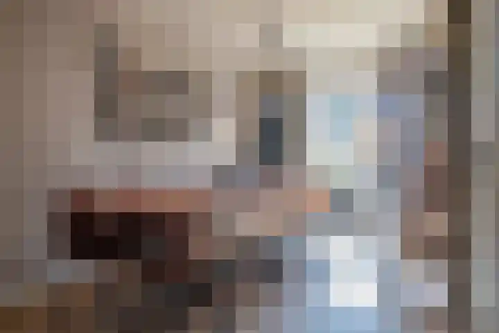 Sluyscoog 22 Den Burg thumbnail 6