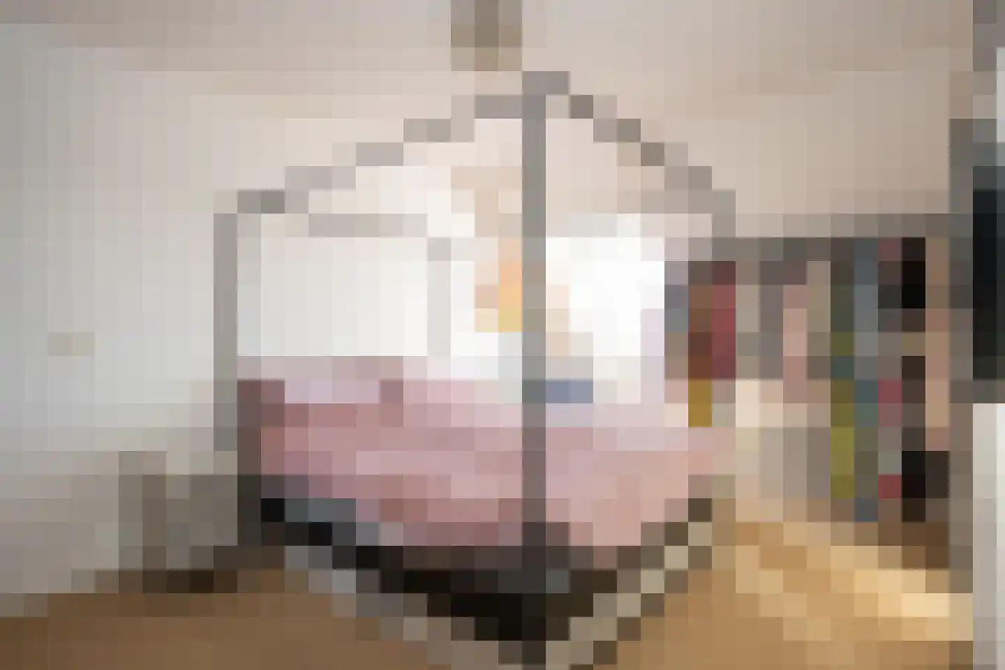 Sluyscoog 33 Den Burg thumbnail 25