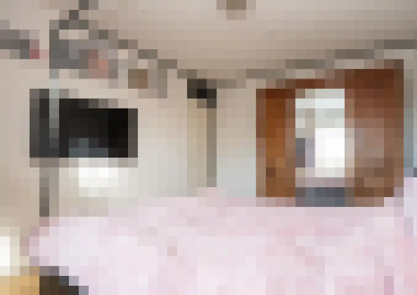 Sluyscoog 33 Den Burg thumbnail 26