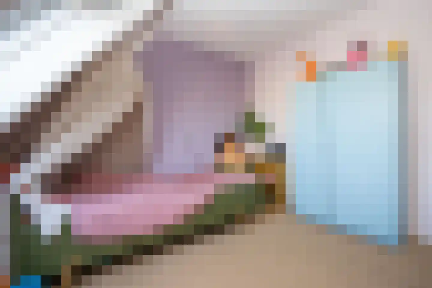Sluyscoog 33 Den Burg thumbnail 29