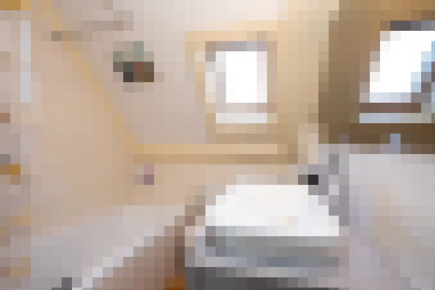 Sluyscoog 33 Den Burg thumbnail 35