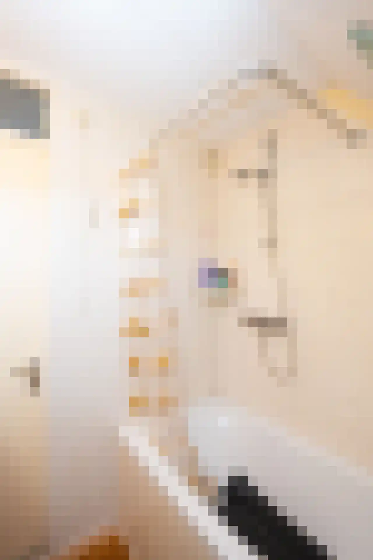 Sluyscoog 33 Den Burg thumbnail 36