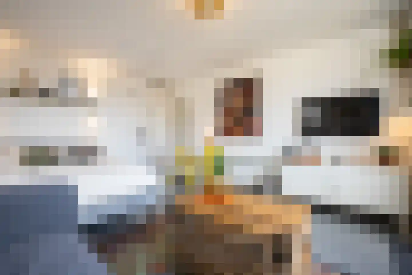 Sluyscoog 33 Den Burg thumbnail 54