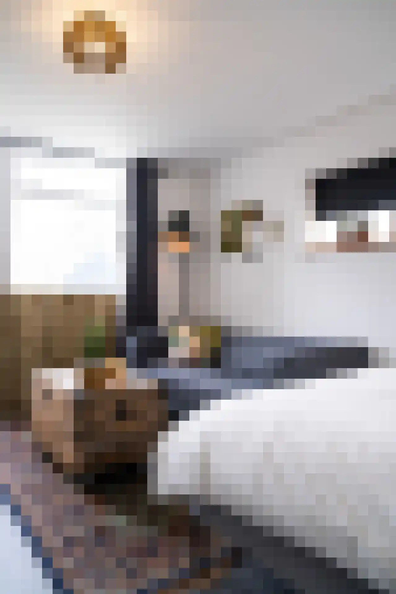 Sluyscoog 33 Den Burg thumbnail 61
