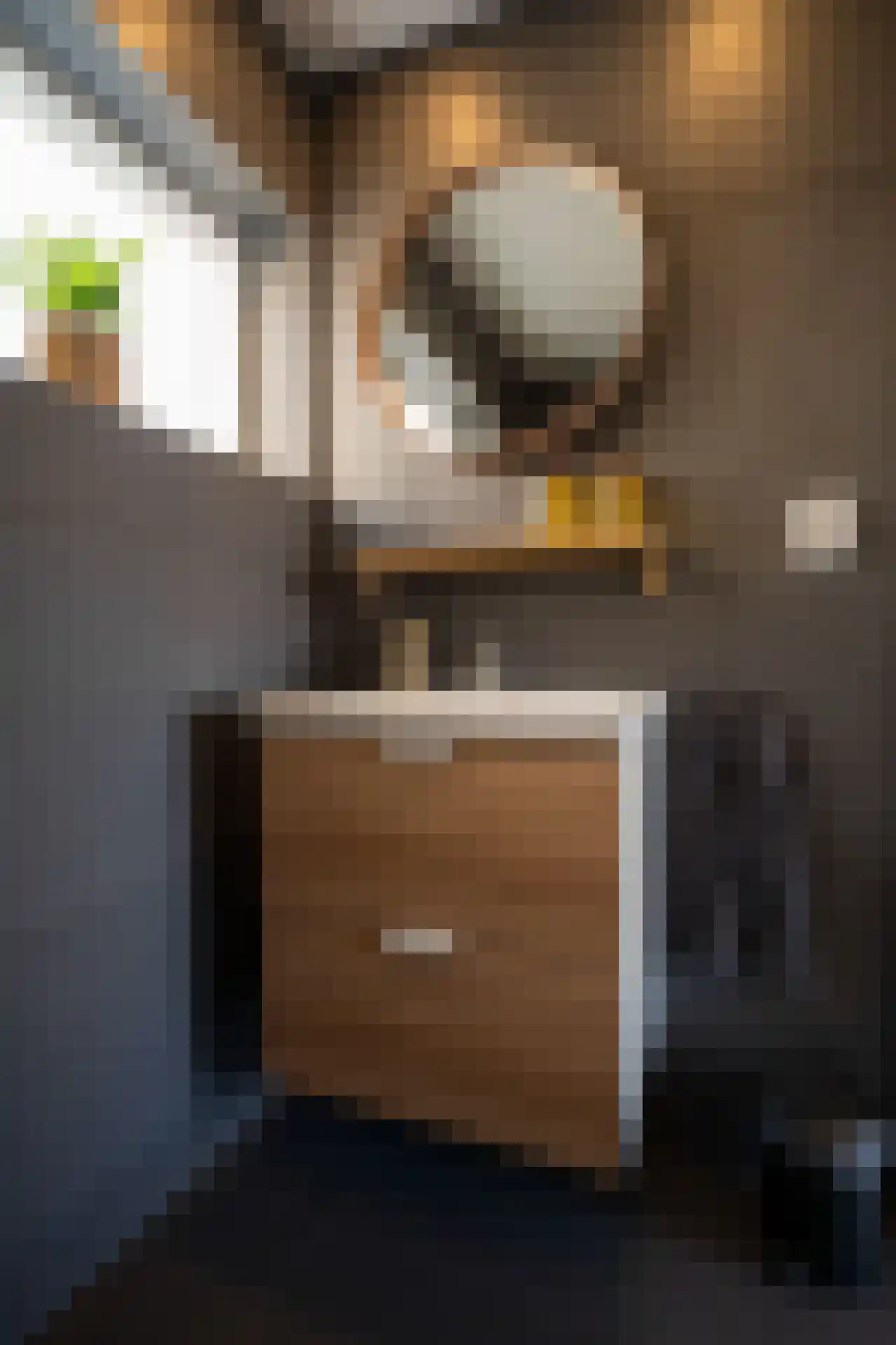 Sluyscoog 33 Den Burg thumbnail 72