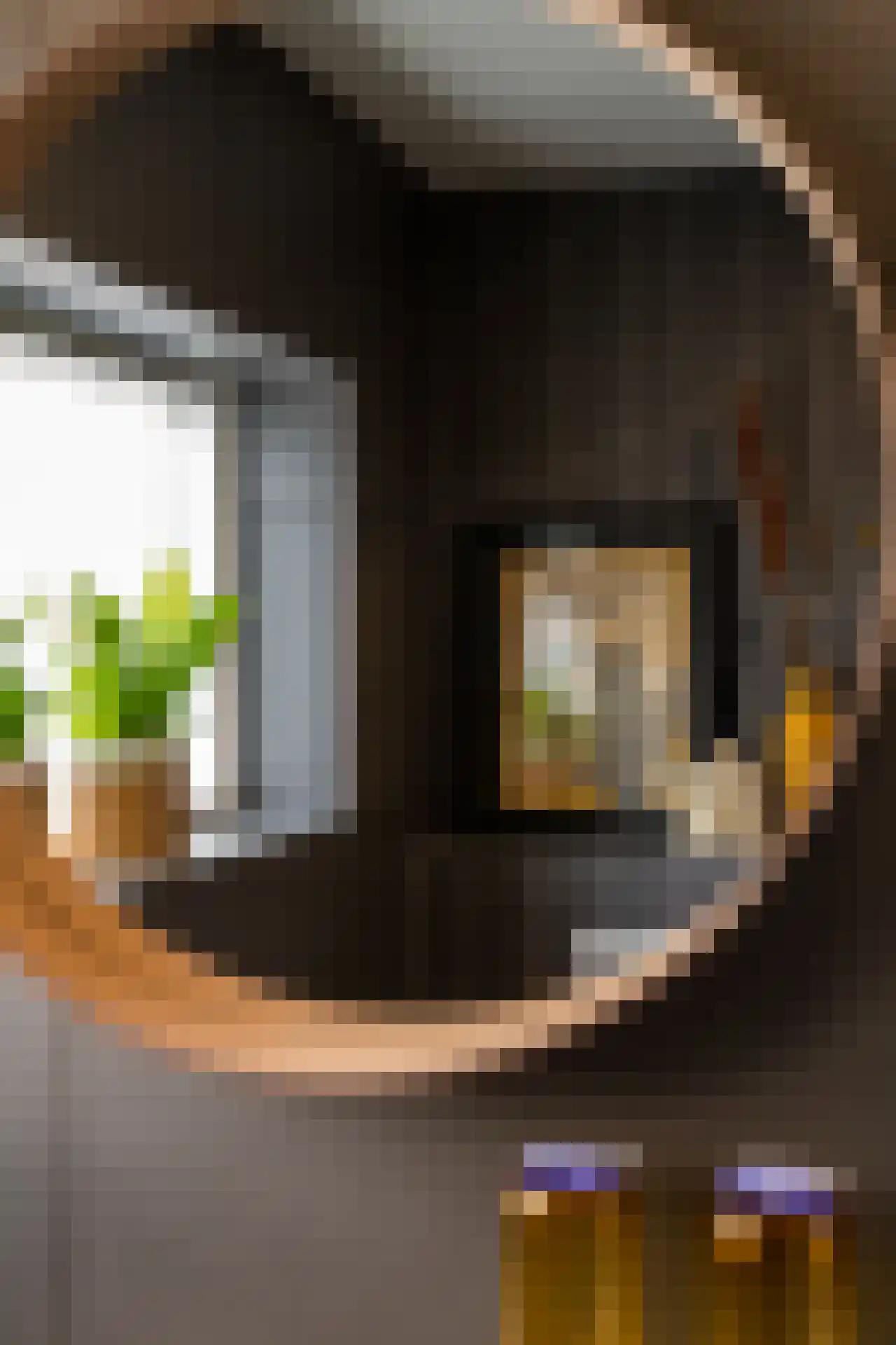 Sluyscoog 33 Den Burg thumbnail 73