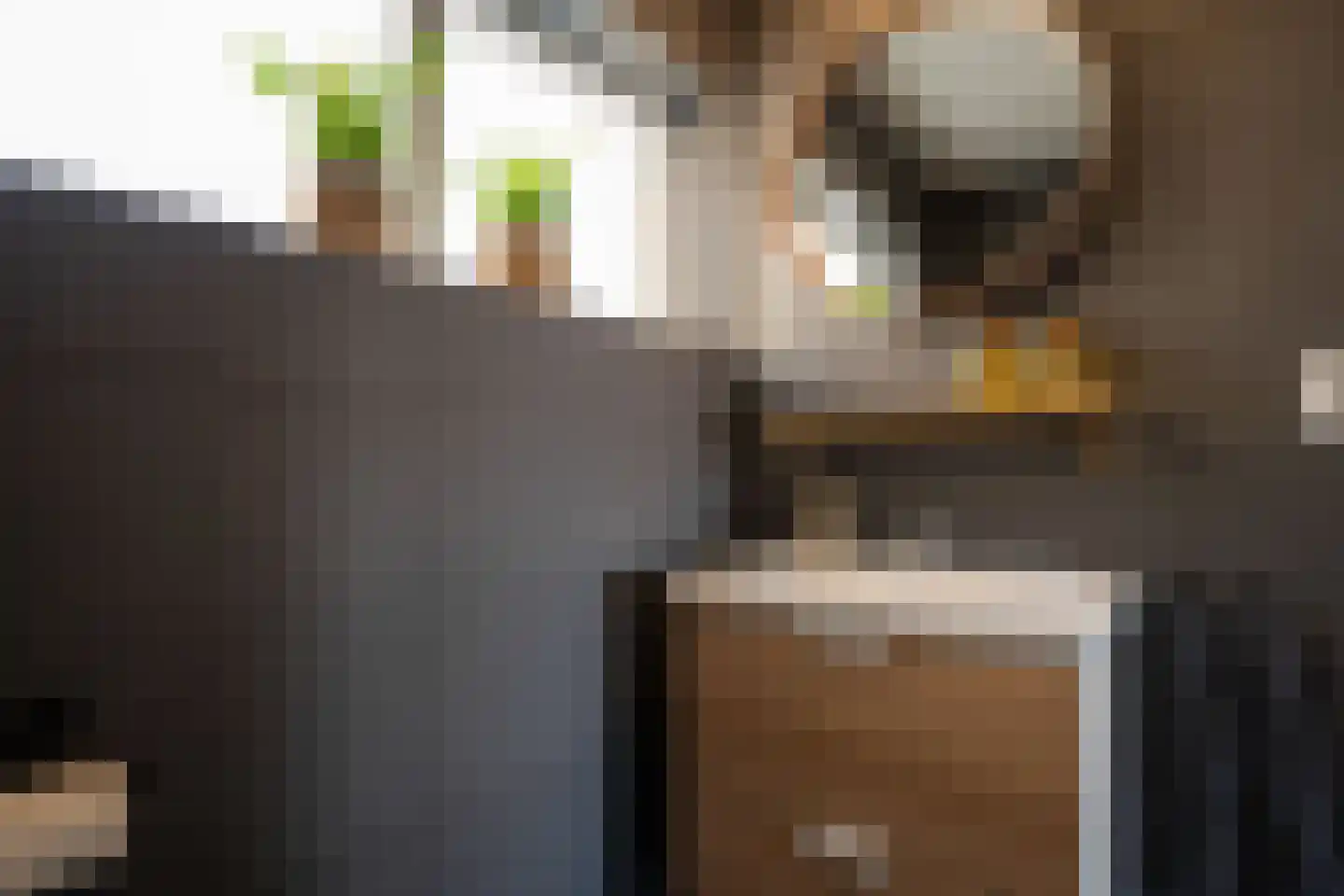 Sluyscoog 33 Den Burg thumbnail 75