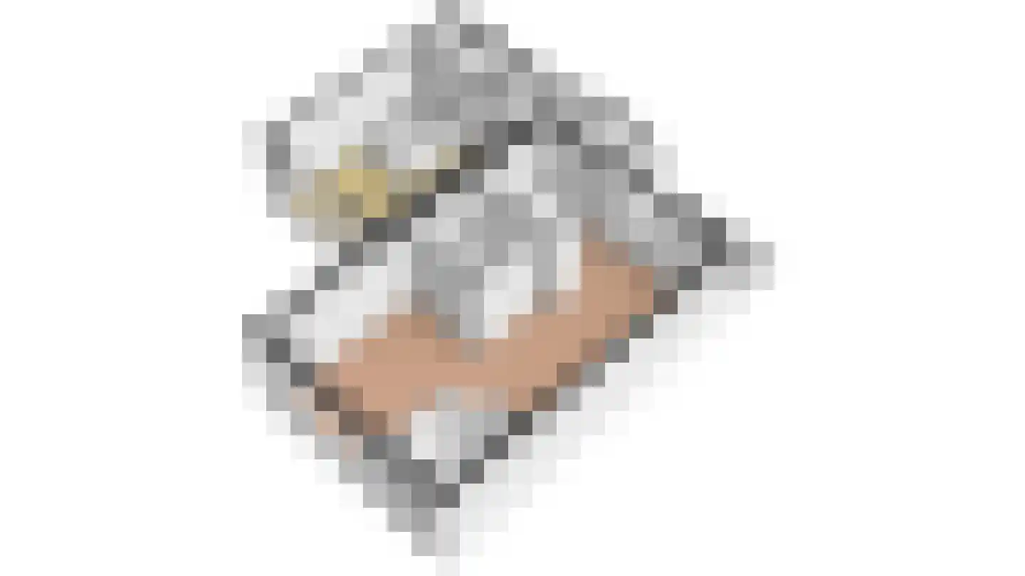 Sluyscoog 33 Den Burg thumbnail 87