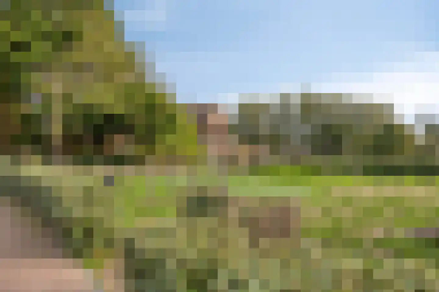 Sluyse Diep 43 Maassluis thumbnail 48