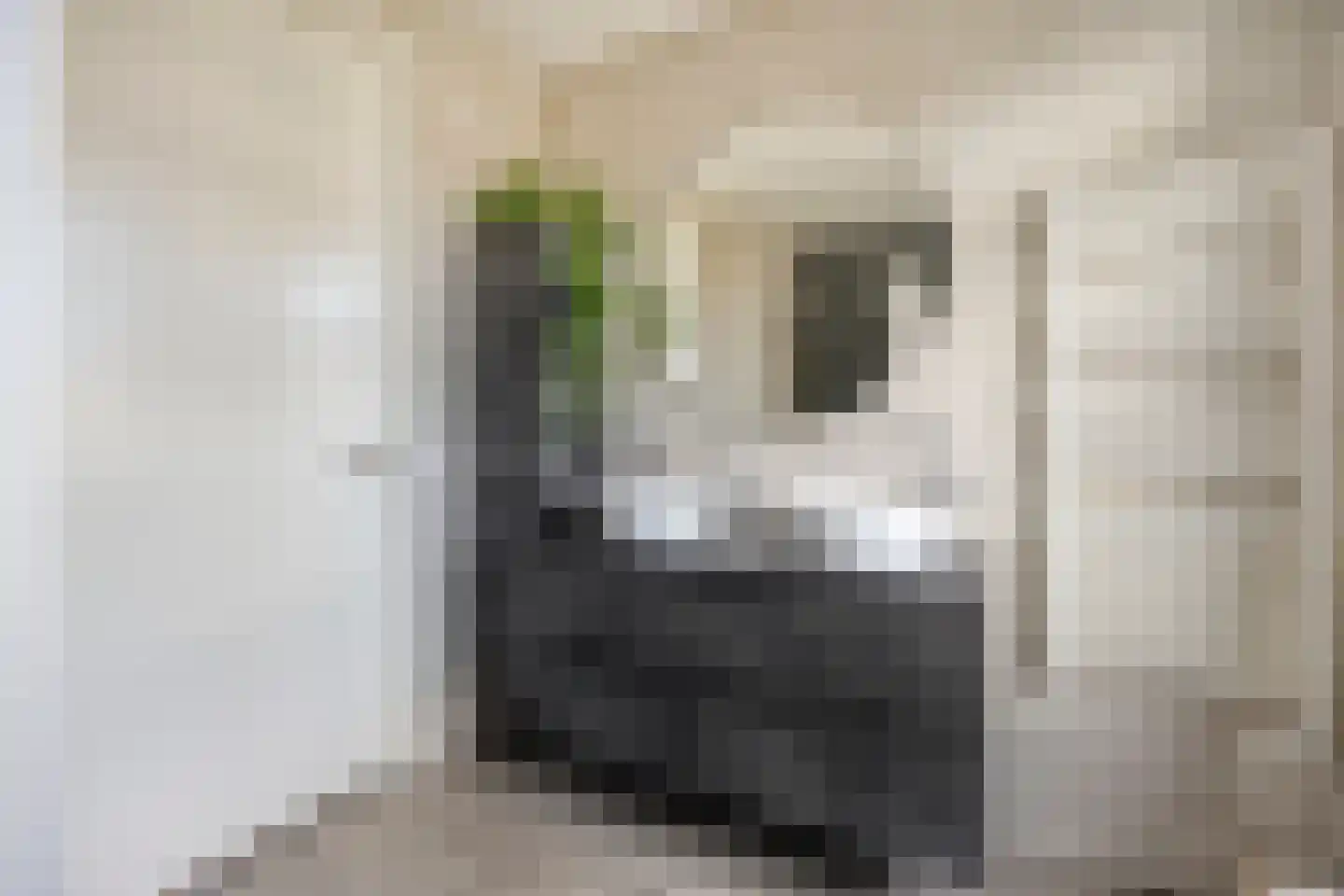 Sluyse Diep 43 Maassluis thumbnail 7