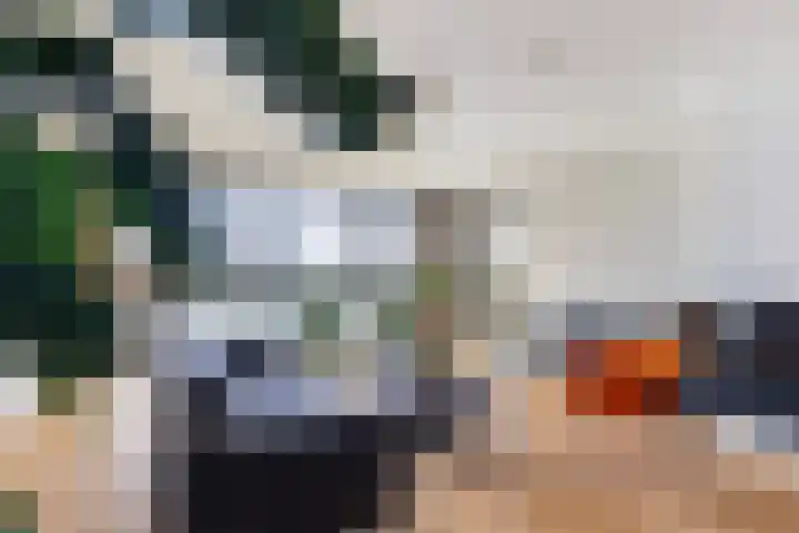 Sluyse Diep 46 Maassluis thumbnail 13