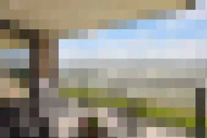 Sluyse Diep 46 Maassluis thumbnail 21