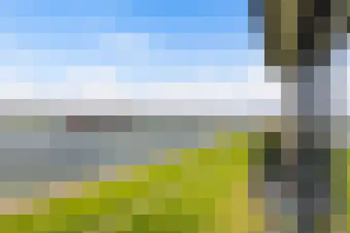 Sluyse Diep 46 Maassluis thumbnail 23
