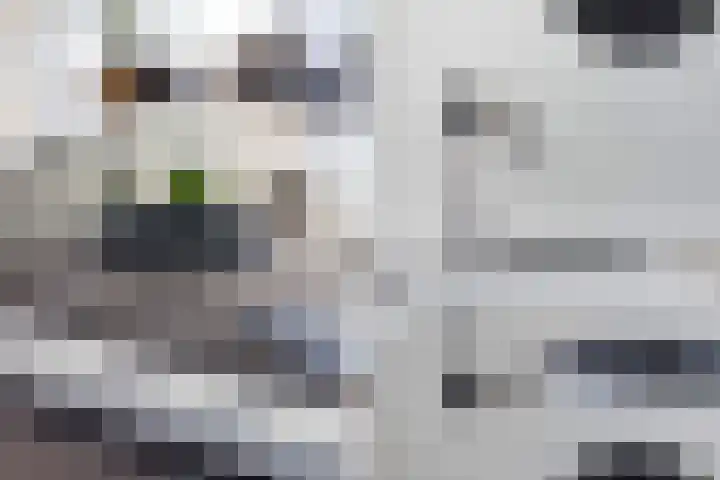Sluyse Diep 46 Maassluis thumbnail 33