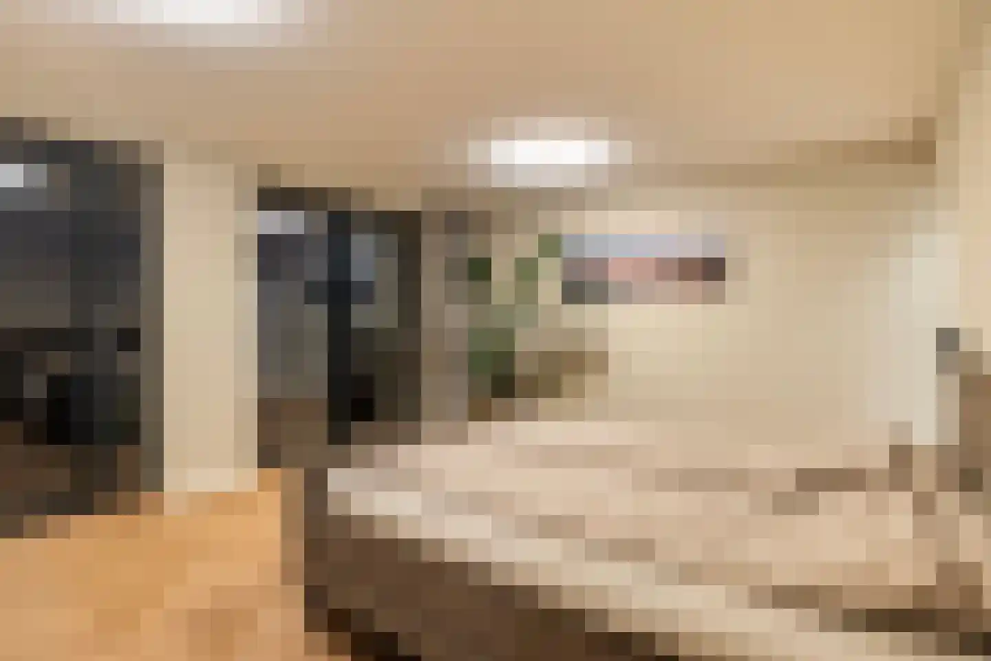 Sluyse Diep 46 Maassluis thumbnail 66