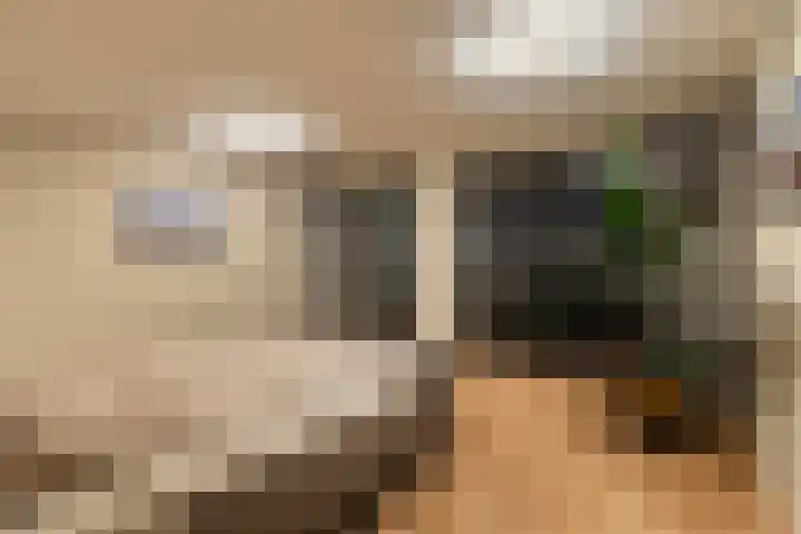 Sluyse Diep 46 Maassluis thumbnail 68