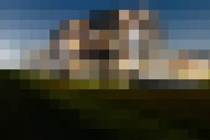 Sluyse Diep 46 Maassluis thumbnail 76