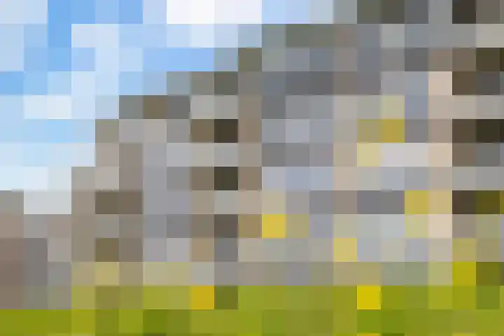 Sluyse Diep 46 Maassluis thumbnail 83