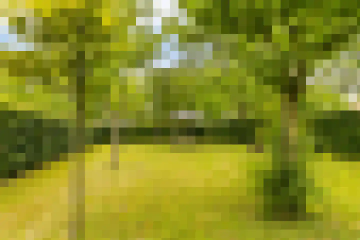 Sluysoort 42 Maarssen thumbnail 55