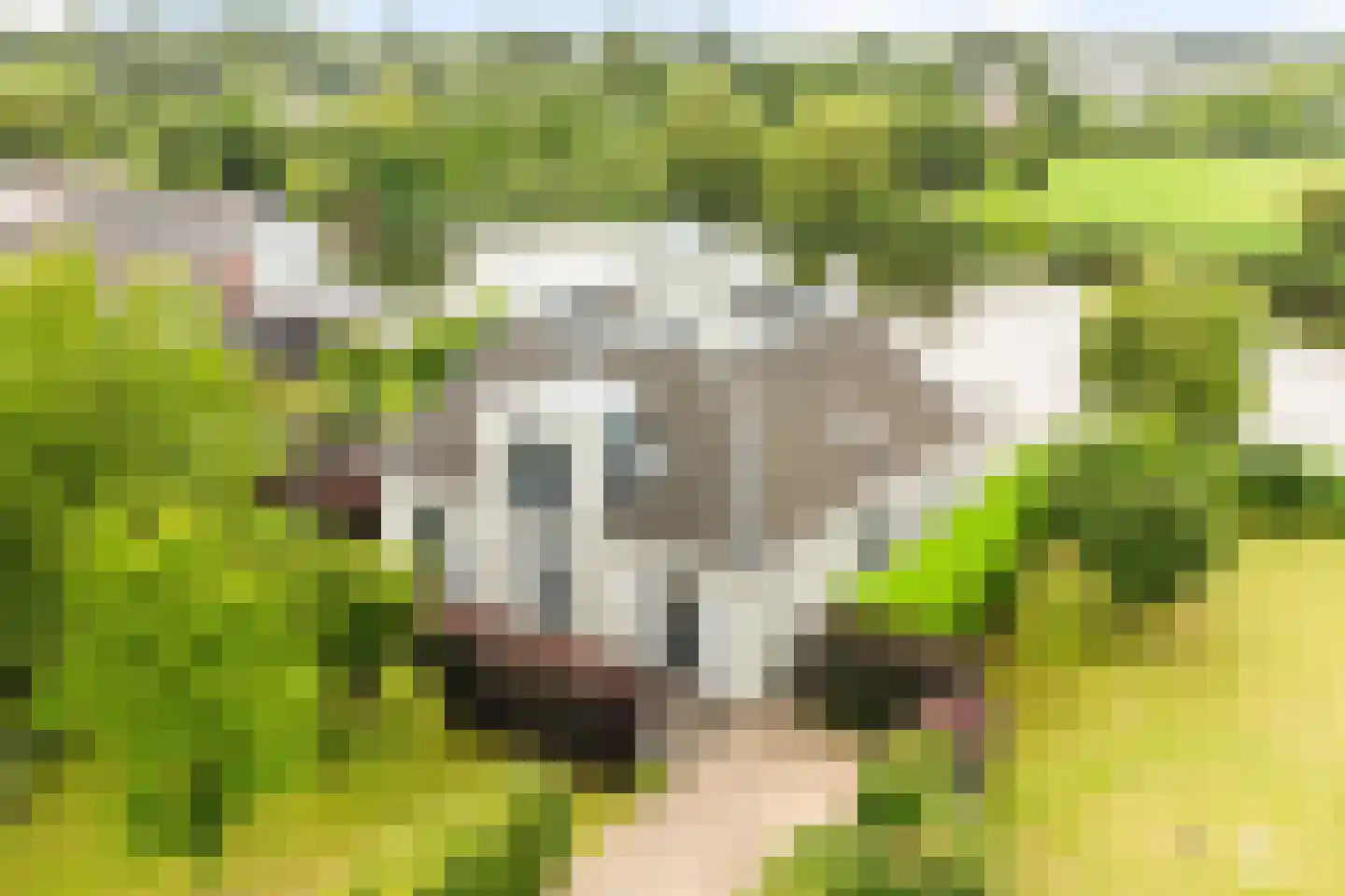 Sluysoort 42 Maarssen thumbnail 75