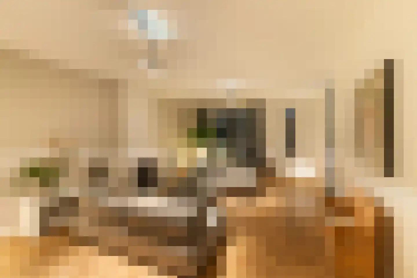 Sluysoort 44 Maarssen thumbnail 18