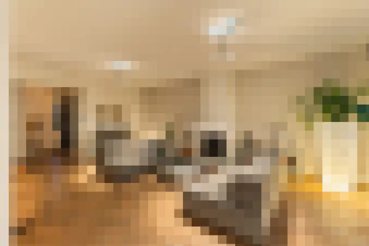 Sluysoort 44 Maarssen thumbnail 20